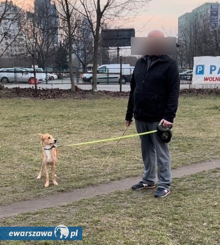 fot. Warszawska Wola/Facebook.