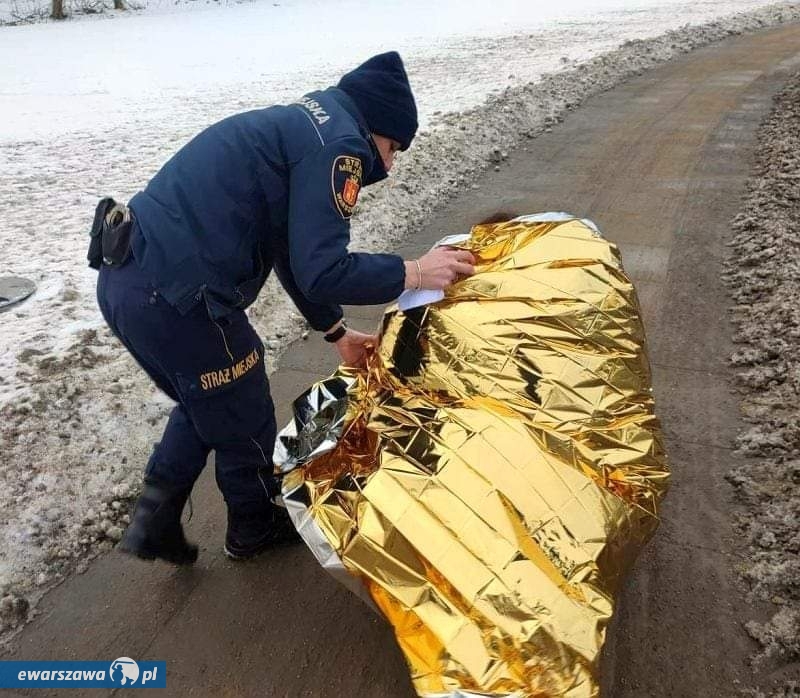 fot. Straż Miejska w Warszawie