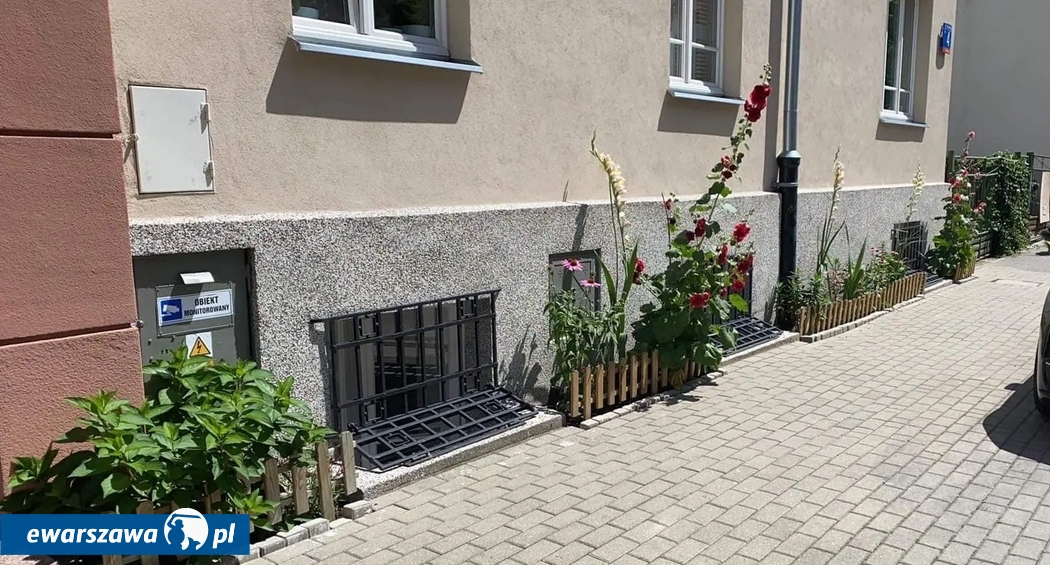Ogródek pani Sylwii | fot. Zieleń zamiast betonu / Facebook