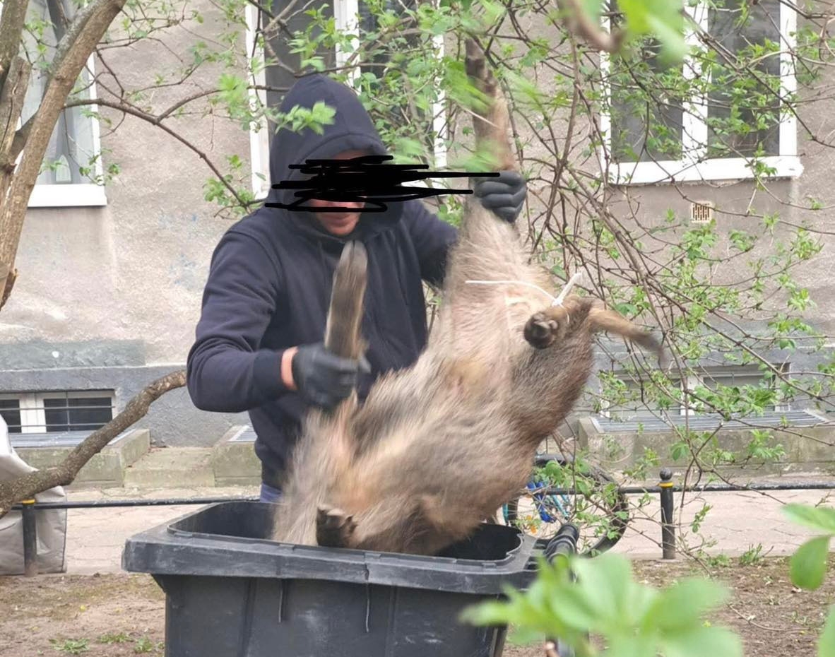 fot. Łukasz Litewka/facebook