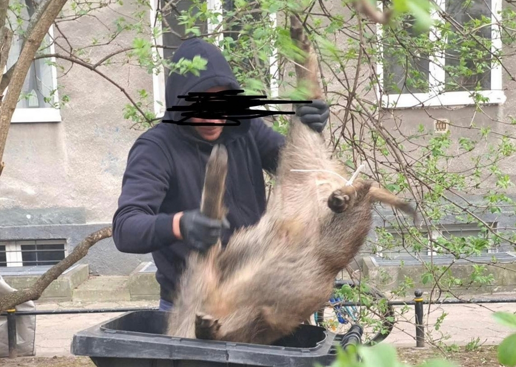 odstrzał dzików w Warszawie | fot. Łukasz Litewka/facebook
