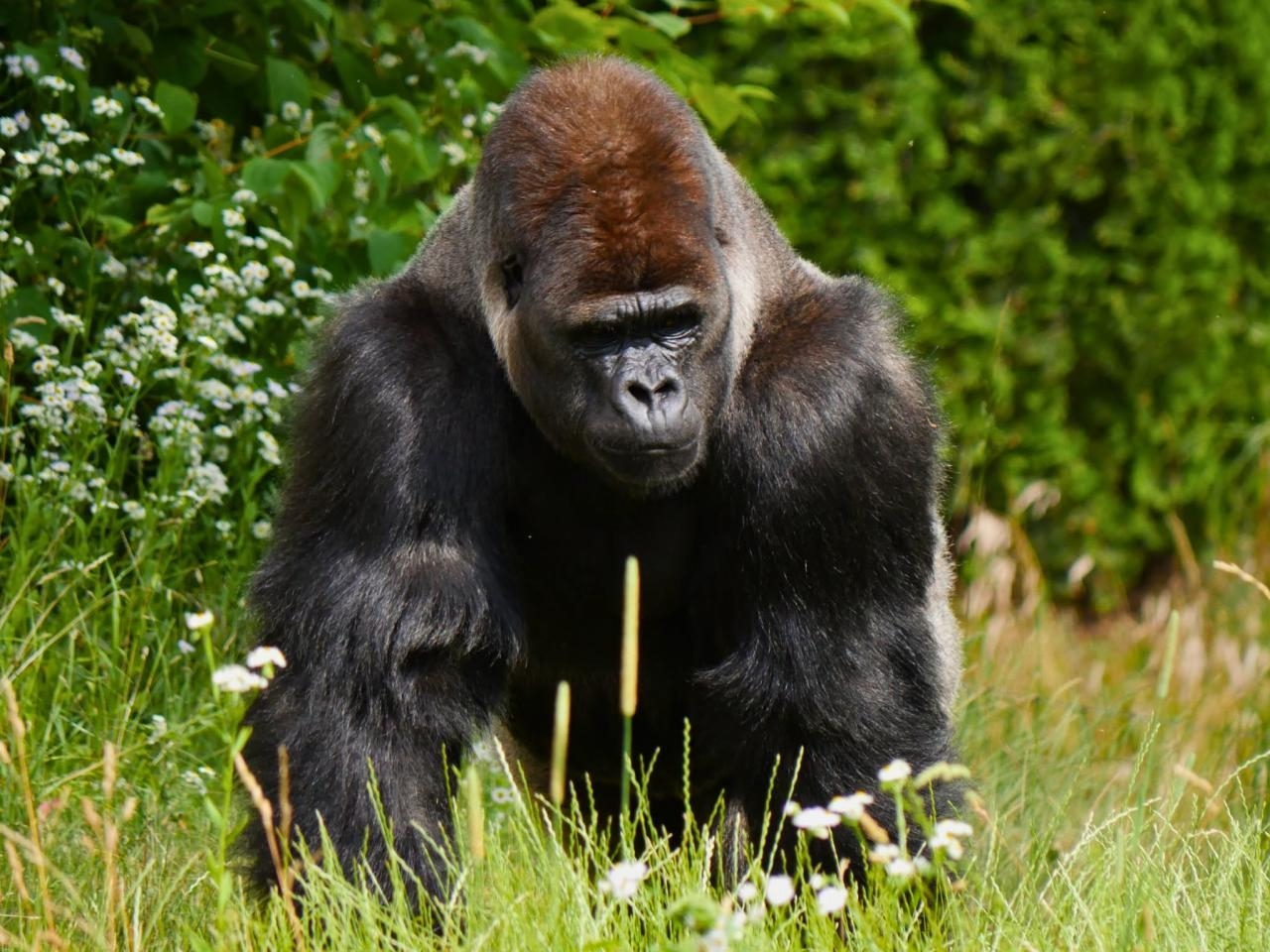 fot. Iga Kupiec/Warszawskie ZOO.