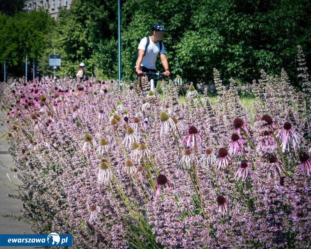 fot. Miasto Stołeczne Warszawa/Facebook.