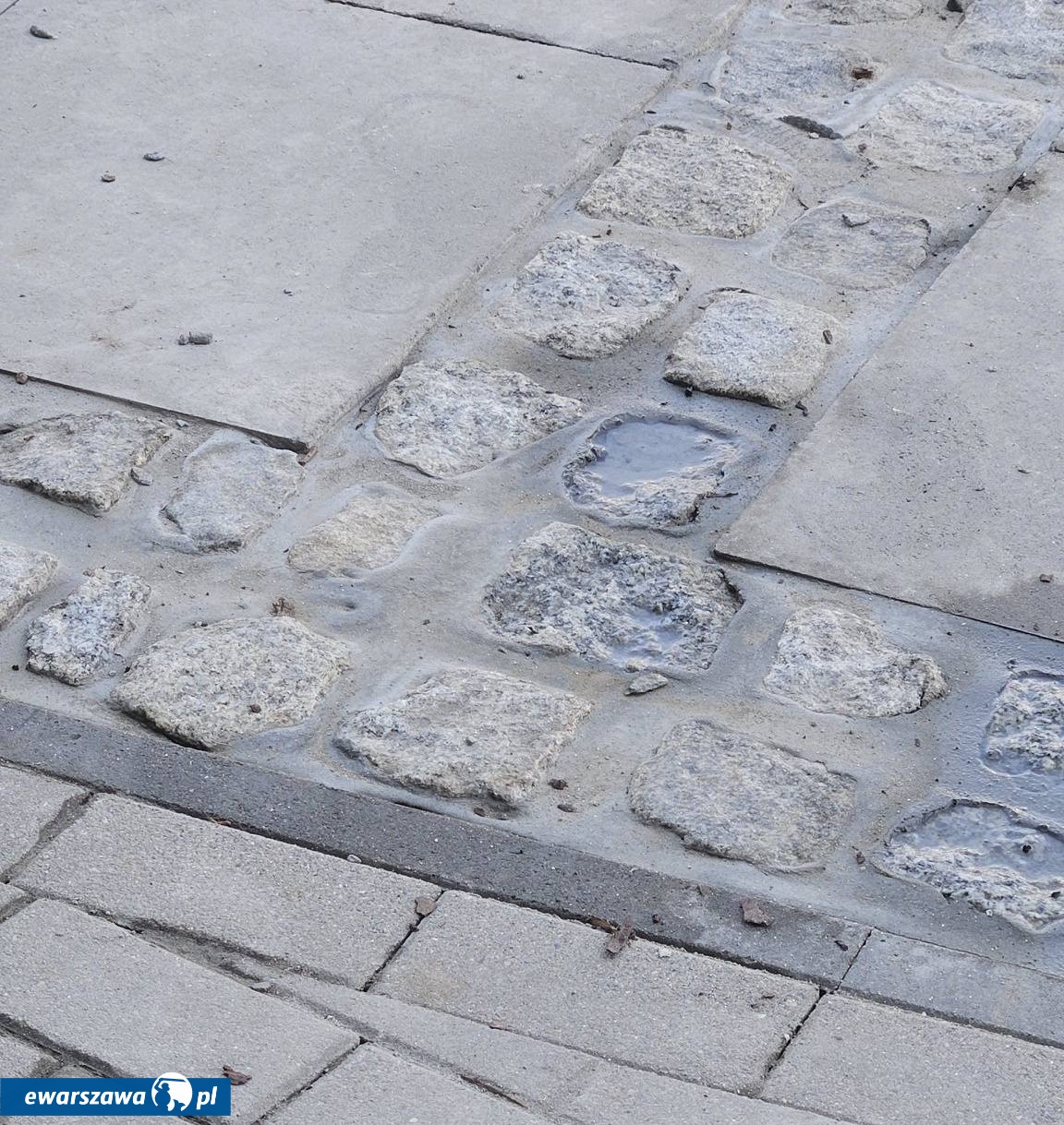 fot. Elwira SP/Facebook.