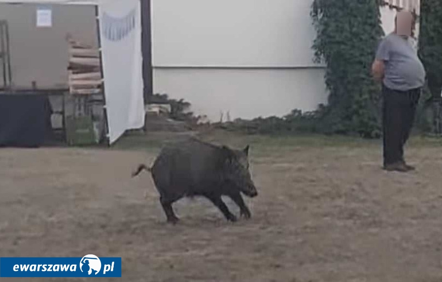 Zdjęcie ilustracyjne | fot. Kadr filmu przesłanego przez mieszkańca Wawra/Wawer moja dzielnica.