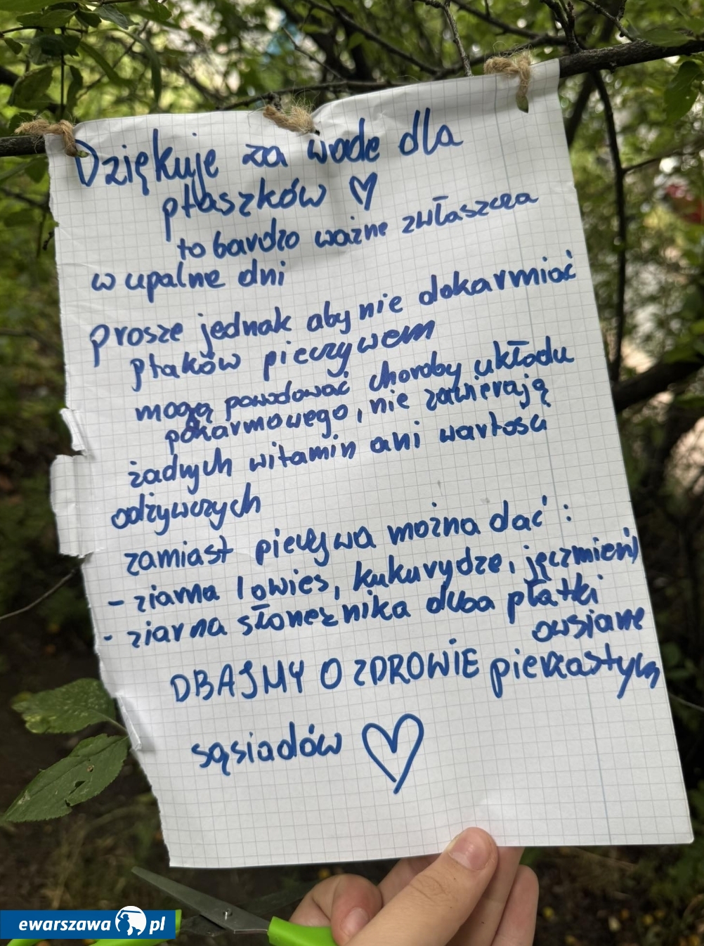 fot. fb / Oliwia