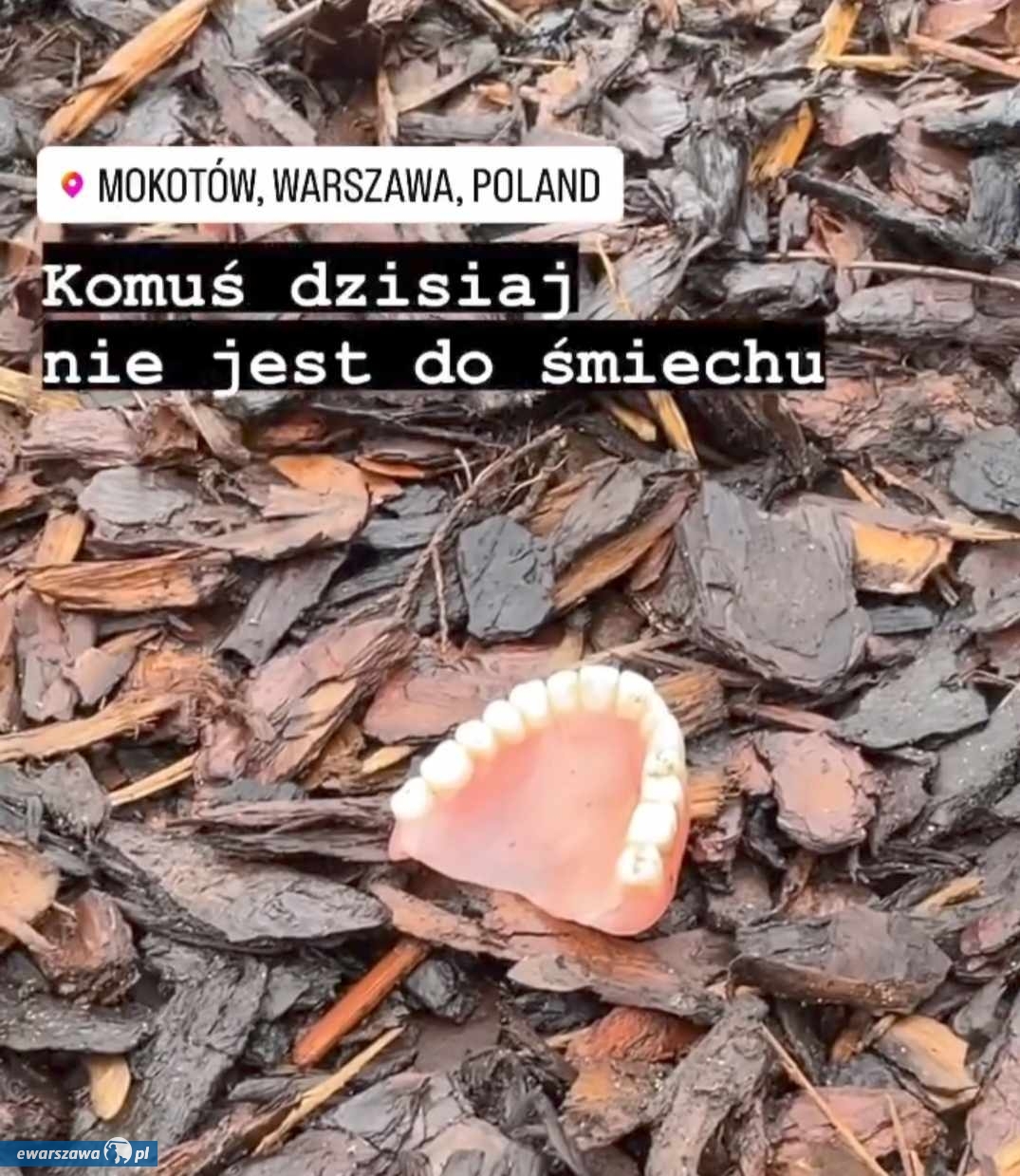 fot. Mokotów moja dzielnica/Facebook