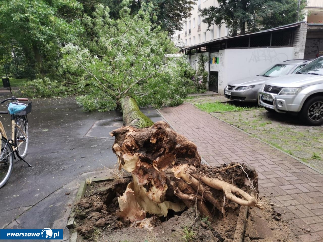 fot. Alicja S./Warszawa Ochota - pogaduchy, ostrzeżenia
