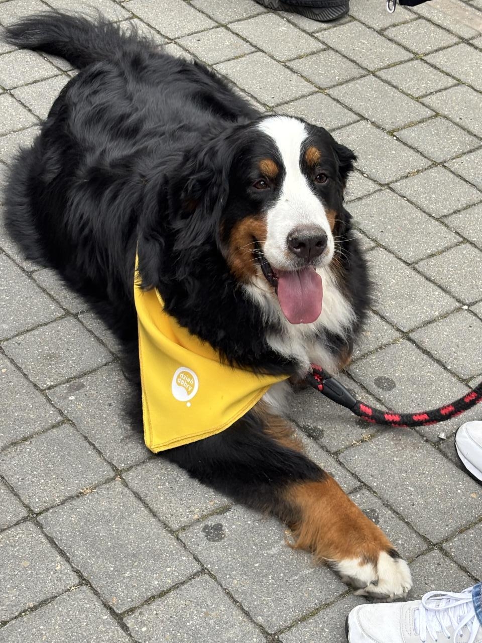 20. urodziny "Dzień dobry TVN" | fot. Bartosz Pańczyk