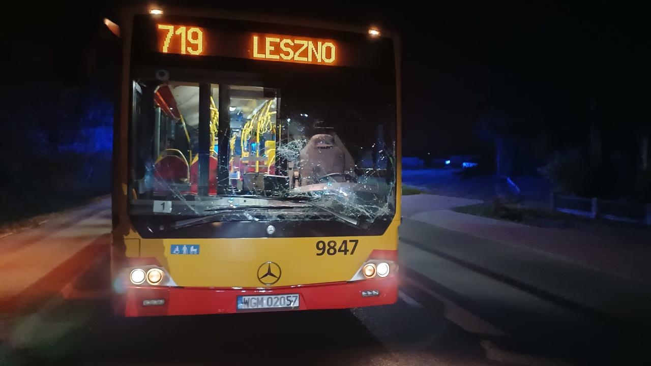 jeleń wpadł pod autobus | fot. OSP w Lesznie/ Facebook