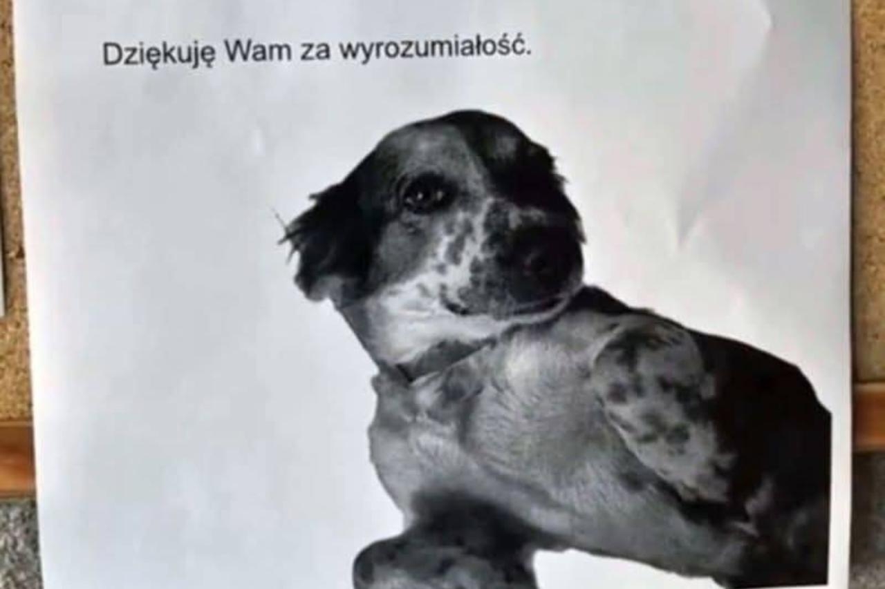 Figa ze schroniska | fot. Piotr R./facebook