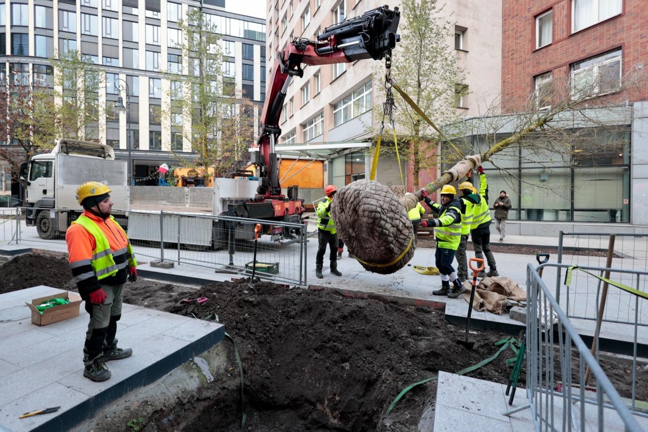 nowe drzewa przy ul. Złotej w Warszawie | fot. facebook.com/warszawa