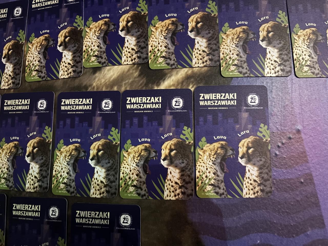 darmowe magnesy od Warszawskiego ZOO | fot. Bartosz Pańczyk