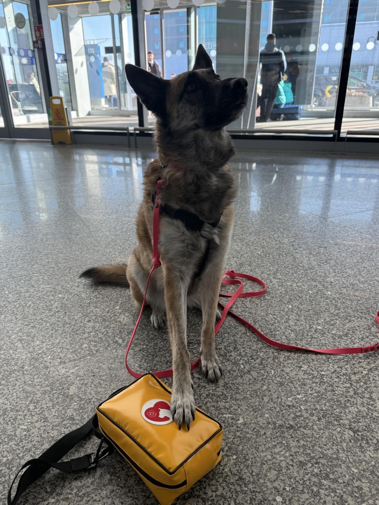 apteczki dla zwierząt na lotnisku Chopina w Warszawie | fot. facebook.com/LotniskoChopina