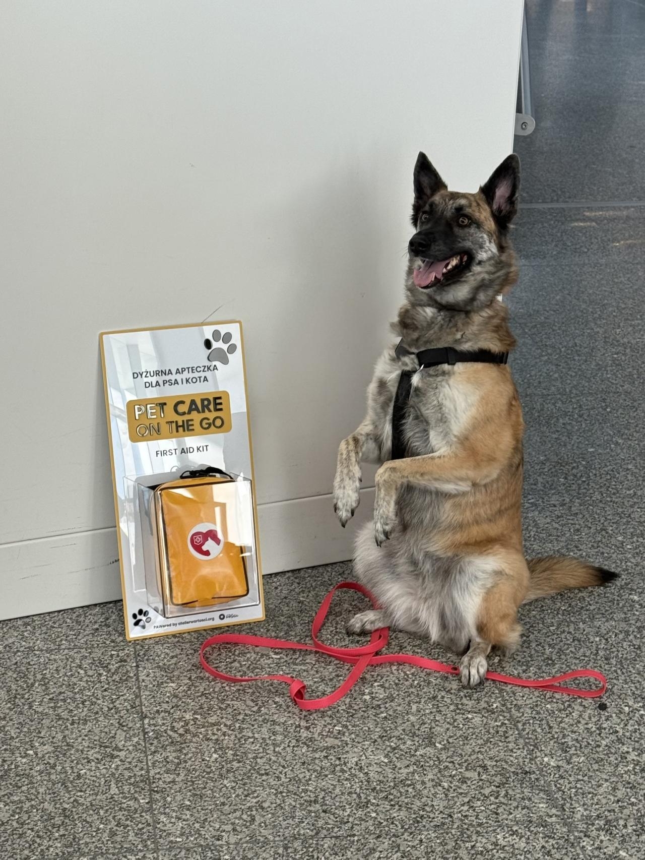 apteczki dla zwierząt na lotnisku Chopina w Warszawie | fot. facebook.com/LotniskoChopina