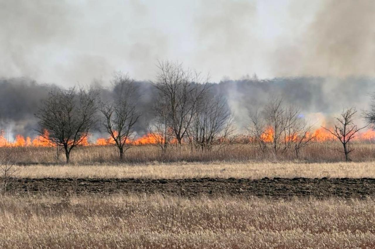 pożar traw w Karczewie | fot. facebook.com/ospkarczew