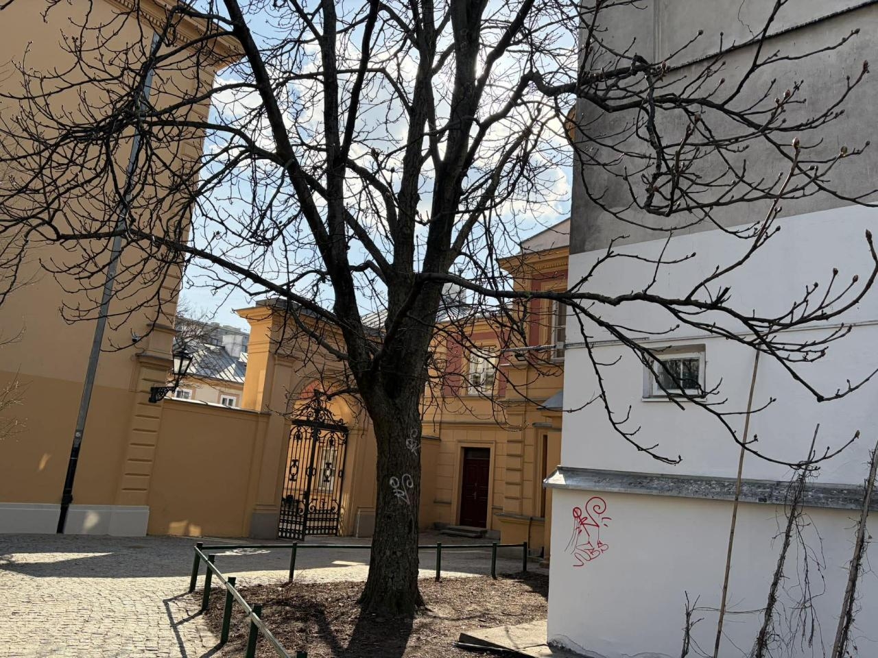 mural Kory przy Nowym Świecie w Warszawie | fot. Bartosz Pańczyk