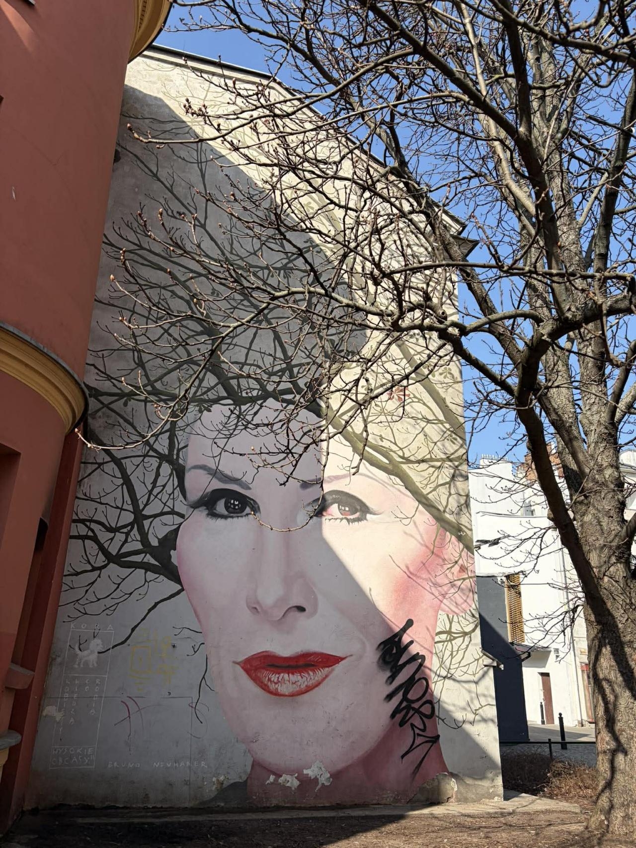 mural Kory przy Nowym Świecie w Warszawie | fot. Bartosz Pańczyk