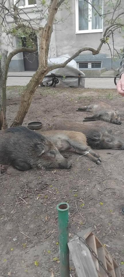 fot. Łukasz Litewka/facebook