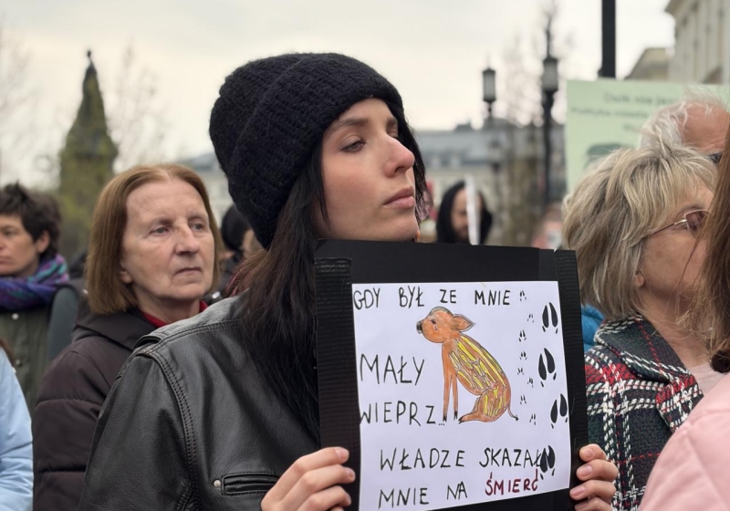pikieta w Warszawie w obronie dzików | fot. Bartosz Pańczyk