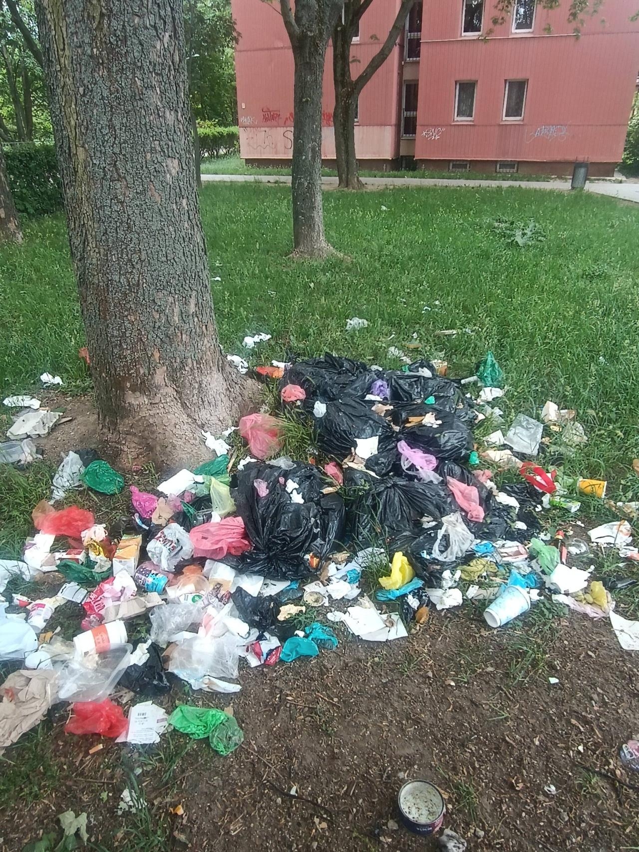 fot. Anna K./Saska Kępa Lokalnie/FB.