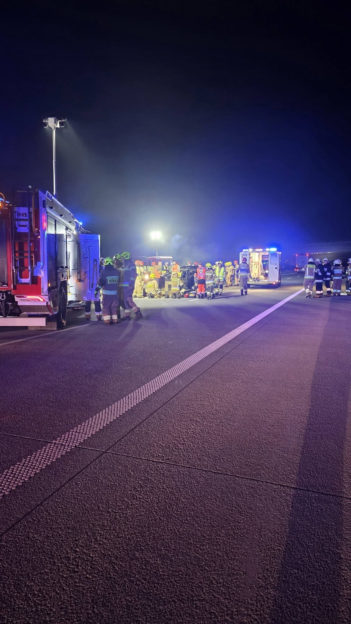samochód po zderzeniu z łosiem na A2 | fot. OSP Zbuczyn
