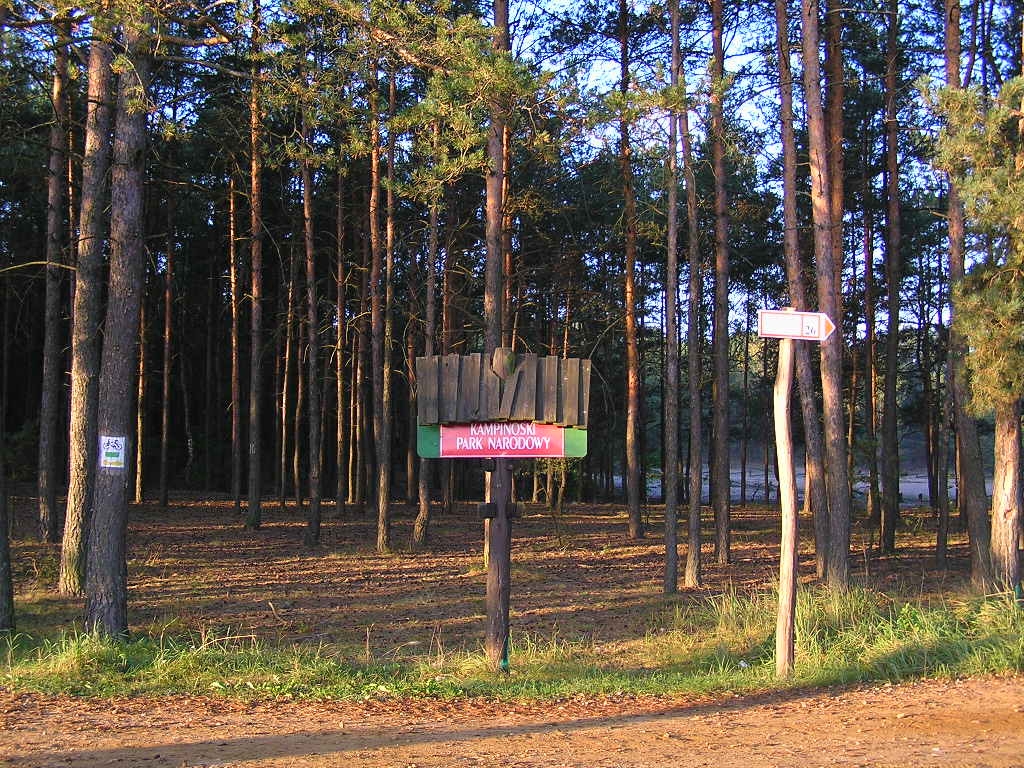 zdj. ilustracyjne | fot. CC BY-SA 3.0, https://commons.wikimedia.org/w/index.php?curid=1607821