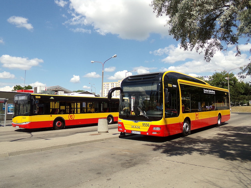 zdj. ilustracyjne | fot. Autorstwa Janusz Jakubowski from Warsaw, Poland - MAN NL253 Lion`s City Hybrid, #9556, "Mobilis" Mościska dept Warsaw, CC BY 2.0, https://commons.wikimedia.org/w/index.php?curid=103793349