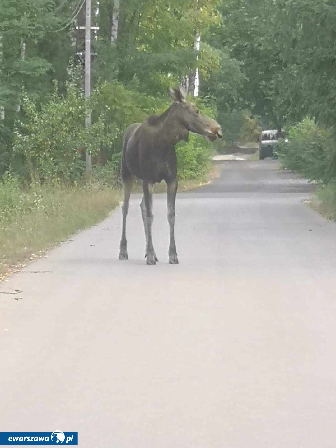 fot. Małgorzata W./Wawer moja dzielnica/Facebook.